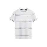 Светло-фиолетовый