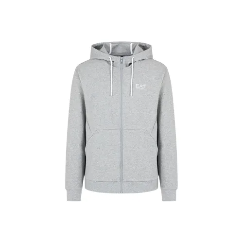 EMPORIO ARMANI EA7 SS24 Свитшот Мужской Серый