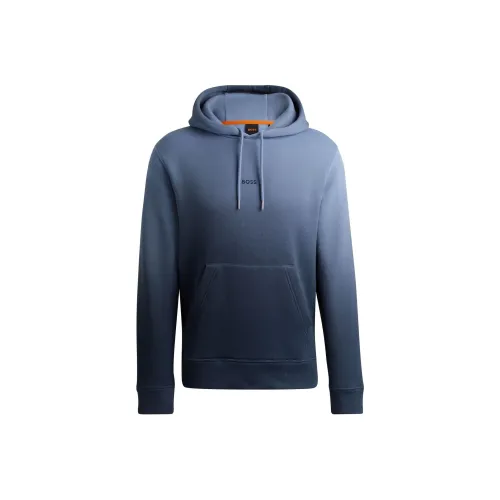 Hugo Boss FW24 Толстовка Men's Natural Blue