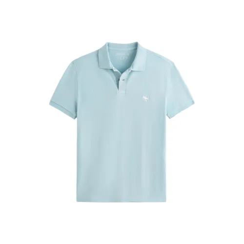 Abercrombie＆Fitch Polo Мужской Небесно-Синий