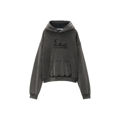 Alexander Wang SS24 Свитшот Унисекс Угольный Серый