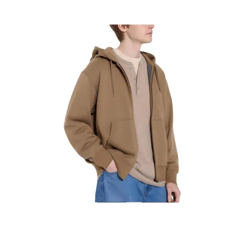 UNIQLO CAMEL Мужские Свитшоты