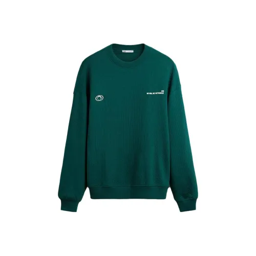 ZARA Зеленый/Синий Мужские Свитшоты