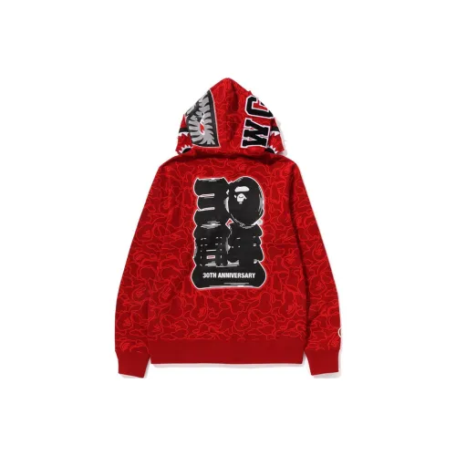 A BATHING APE 30th Anniversary Series Унисекс Свитшоты