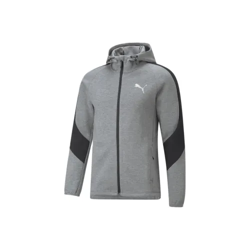 PUMA EVOSTRIPE Full Zip Hoodie Sweatshirt Мужской Серый