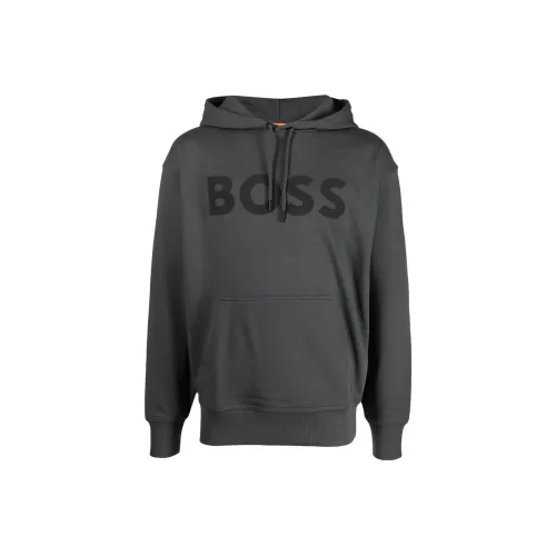 Hugo Boss Серый Мужской Свитшот