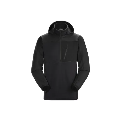 Arcteryx DELTA 1 2 Naga HOODY Gen 3,1 Свитшот Мужской