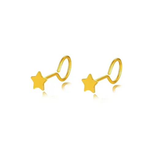 WANLIACC Сплав Серьги-гвоздики Женские