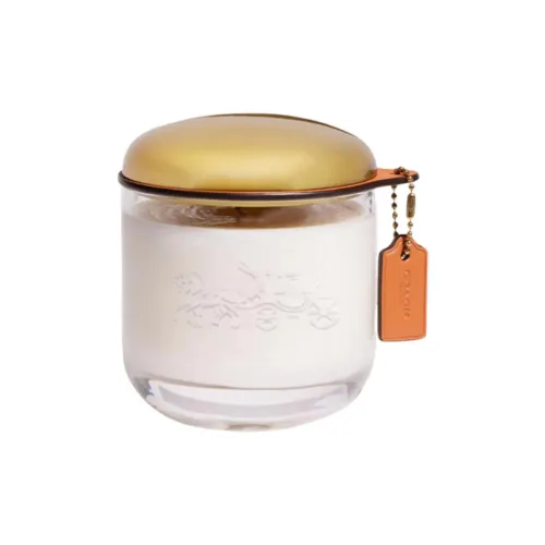 COACH Boxed Металл Сумка Аксессуар Женская Белая