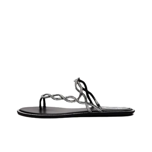 RENE CAOVILLA Шлепанцы Женские Черные