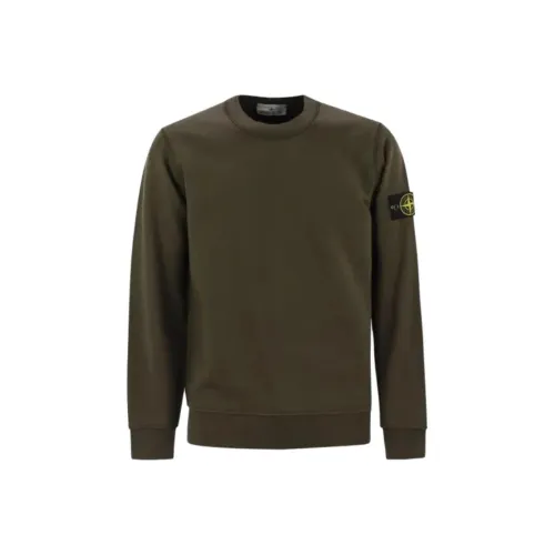 Stone Island Зеленый Мужской Свитшот
