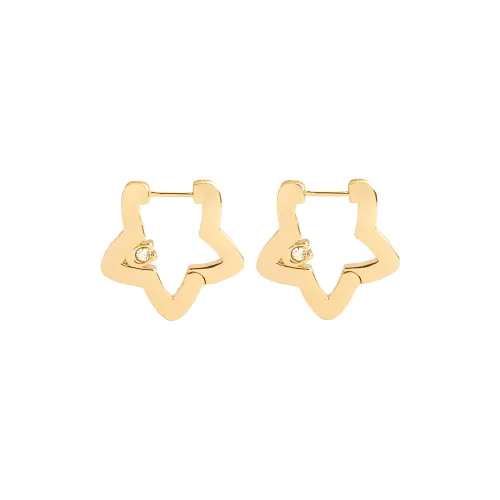 COACH CUBIC Серьги с цирконием Унисекс Золото