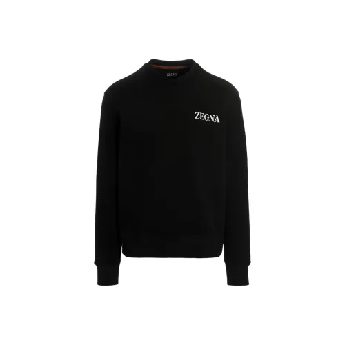 Ermenegildo Zegna Черные Мужские Толстовки
