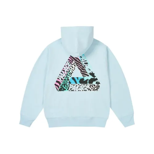 Дворцовый FW24 Светло-синий Унисекс Свитшоты