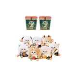 2 Сюрприз-бокса (Случайный стиль)