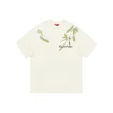 Кремовый Абрикос [Улучшенный]