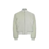 Серебряный