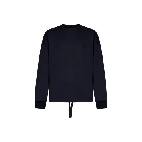 Ermenegildo Zegna Blue Men's Sweatshirts Эргенжильдо Зегна Синий Мужской Свитшот