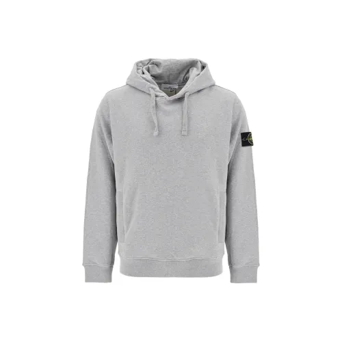 STONE ISLAND Серый Мужские Свитшоты