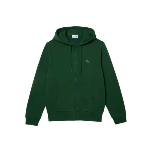 Lacoste Свитшот Мужской Сосновый Зеленый