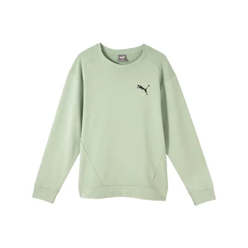 PUMA BETTER SPORTSWEAR Толстовка Мужская Туманный Зеленый