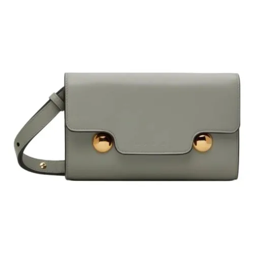 MARNI Trunkaroo Телячья кожа Сумка через плечо Женская Серый