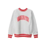 Серебристо-серый/Каштановый