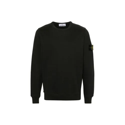 STONE ISLAND Свинцово-серый Мужские Свитшоты