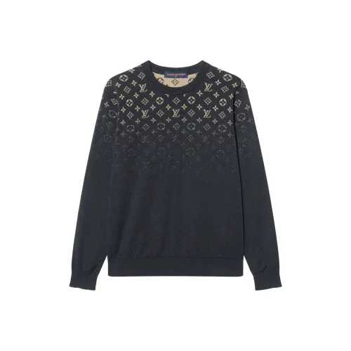 LOUIS VUITTON Толстовка Мужской Темный Фотиния Серый