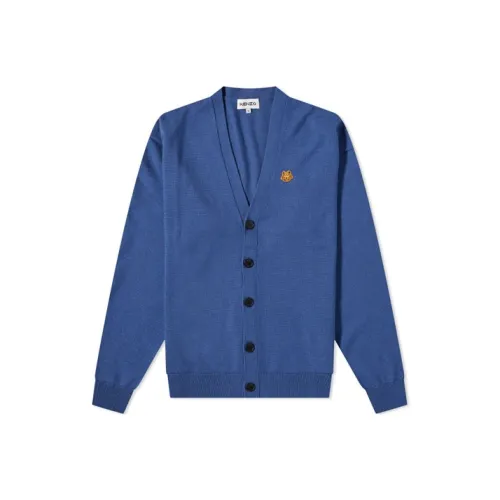 KENZO Синие Мужские Свитера