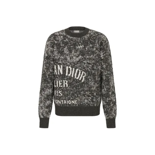 DIOR Quarterly New Products Серые Мужские Свитера