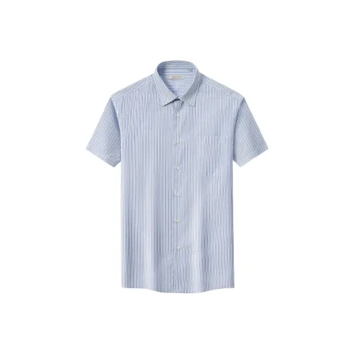 Francesco Totti Рубашка Мужская Синие Полосы