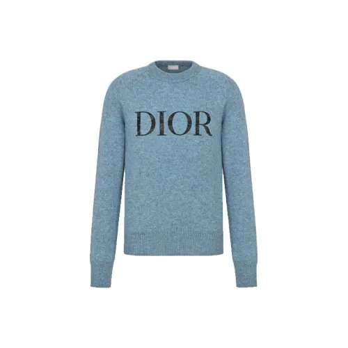 DIOR Quarterly New Products Синий Мужской Свитеры
