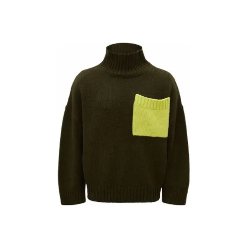 JW Anderson Зеленые Мужские Свитера