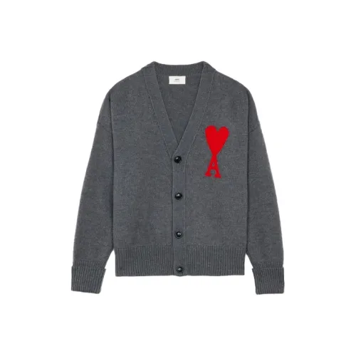 AMIPARIS Серый Унисекс Свитеры