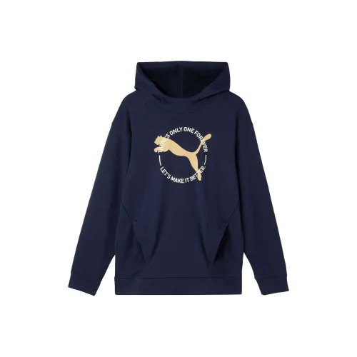 PUMA Толстовка Мужская Темно-Синяя