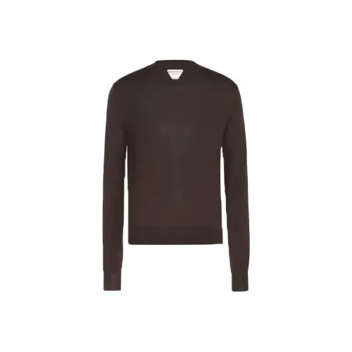 Bottega Veneta SS21 Трикотаж Мужской Шоколад