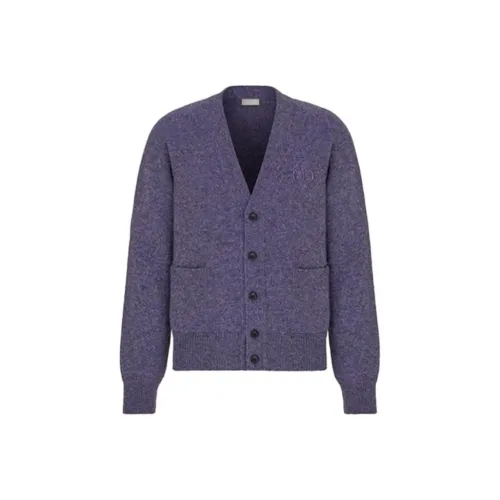 DIOR Свободный крой Трикотаж Мужской Фиолетовый