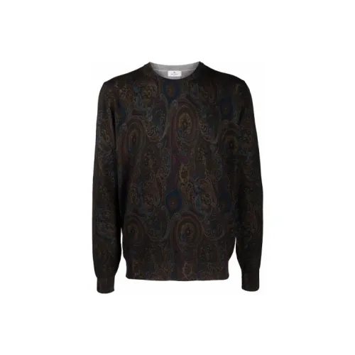 ETRO Коричневые Мужские Свитера