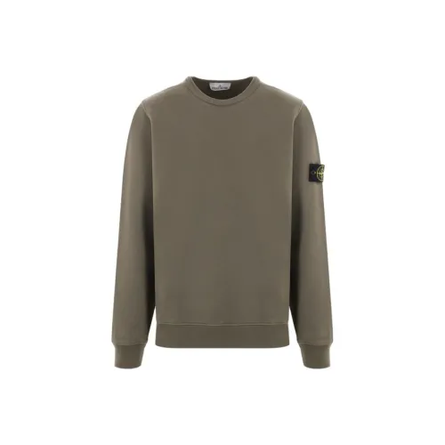 STONE ISLAND Коричневый Мужской Свитшот