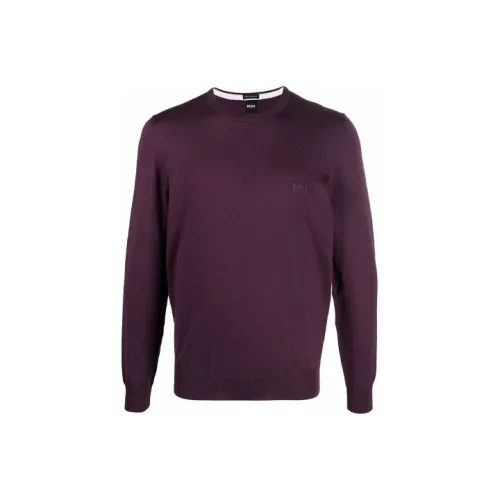 Hugo Boss Фиолетовые Мужские Свитера