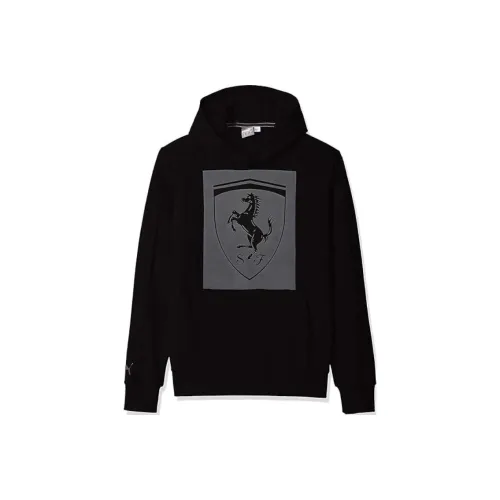 PUMA Черные Мужские Свитшоты