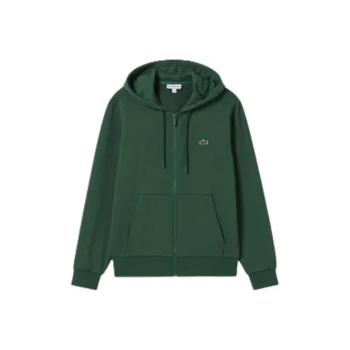 LACOSTE Collaboration 132/Крокодил Зеленый Мужской Свитшот