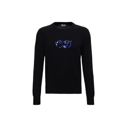 DIOR Quarterly New Products Черные Мужские Свитера