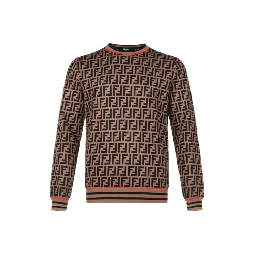 Fendi Коричневые Мужские Свитера