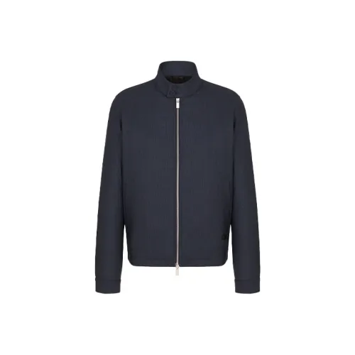 DIOR Quarterly New Products Синий Мужской Свитеры