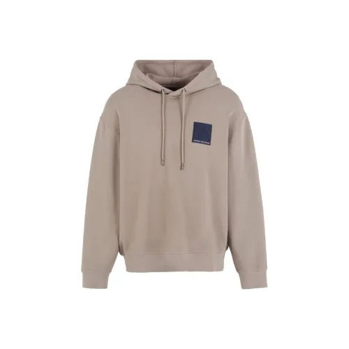 ARMANI EXCHANGEAE SS24 Свитшот Мужской Серый Голубь