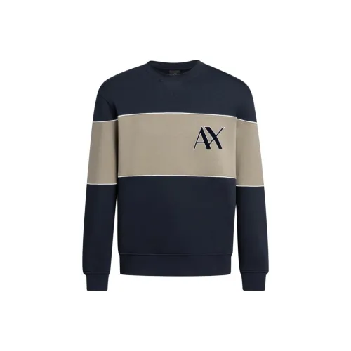 ARMANI EXCHANGEAE FW24 Толстовка Мужской Темно-синий