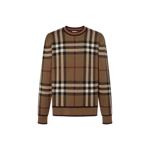 Burberry Березовый Коричневый Мужские Свитера