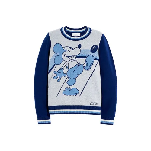 COACH Синий Унисекс Свитеры